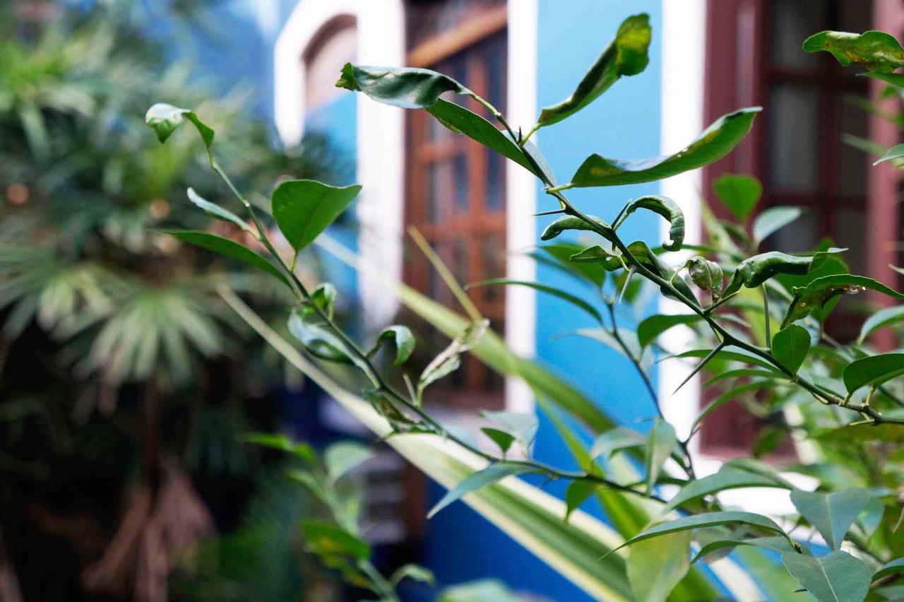 Hotel Zibamba São Francisco do Sul Kültér fotó